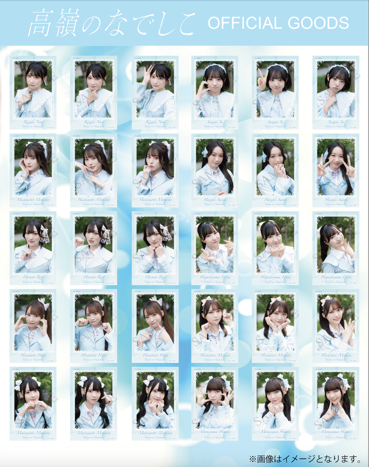 高嶺のなでしこ ミニフォトカード ピンク衣装ver 全メンバーコンプセット×4 ミニフォトカードセット「アイドル衣装」ver. – 高嶺のなでしこ