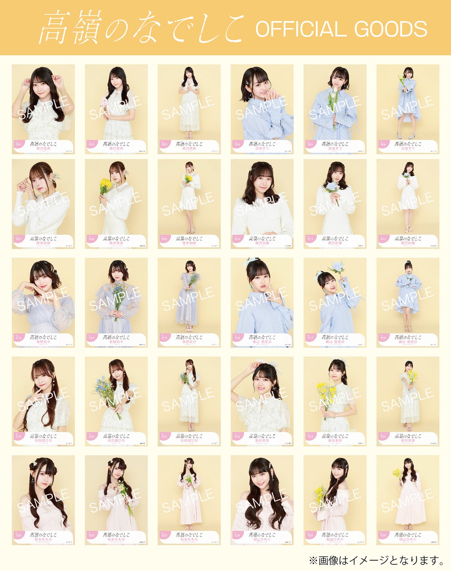 生写真セット(ワンピースver.)